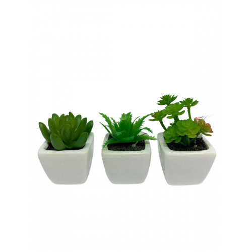 Trio Vaso Decorativo - SMO 